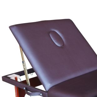 Массажный стол DFC Nirvana Relax Pro, цвет коричневый